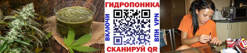 Печенье с ТГК конопля  Сенгилей 