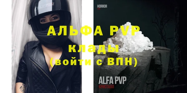 индика Баксан