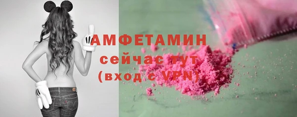 крисы Армянск