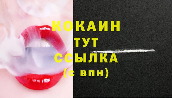 индика Баксан