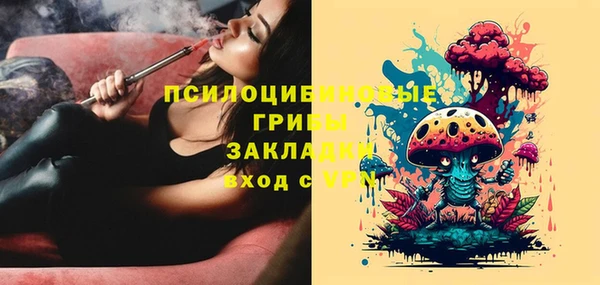 крисы Армянск