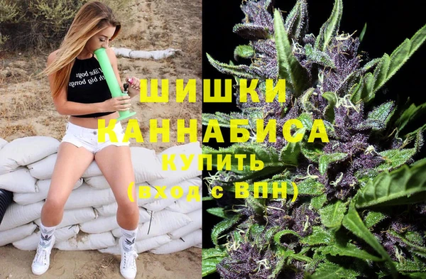 крисы Армянск