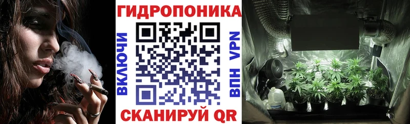 МАРИХУАНА план Сенгилей