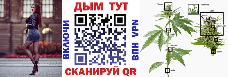Шишки марихуана конопля  ссылка на мегу как зайти  Сенгилей 